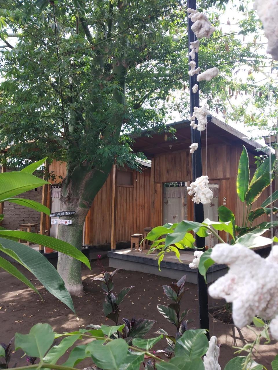 Beach Box Bungalow Gili Trawangan Exterior foto